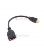 19 Pin HDMI (Type A) Female to Mini HDMI (Type C) Male Cable Adapter